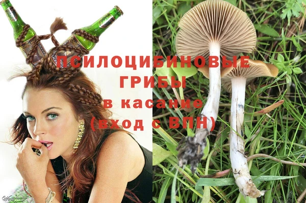 бошки Алзамай