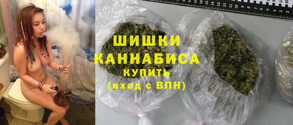 молекула духа Заводоуковск