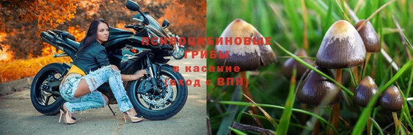 гашишное масло Алексеевка