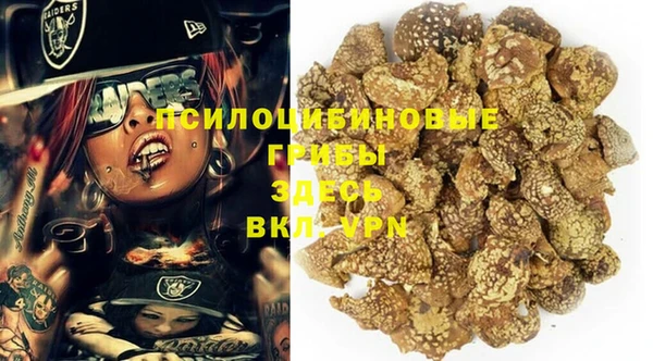 бошки Алзамай